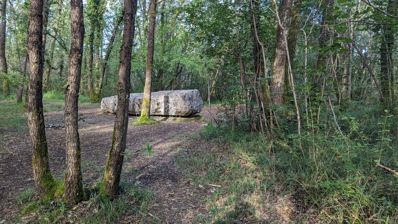 Mégalithes "La Pierre du sacrifice"