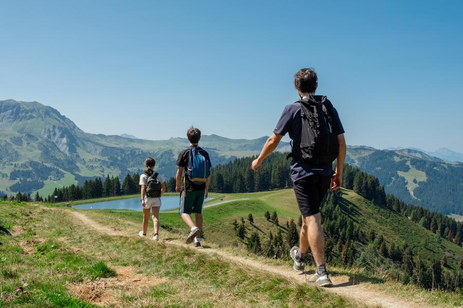 Le Lac de Joux depuis le Bettex