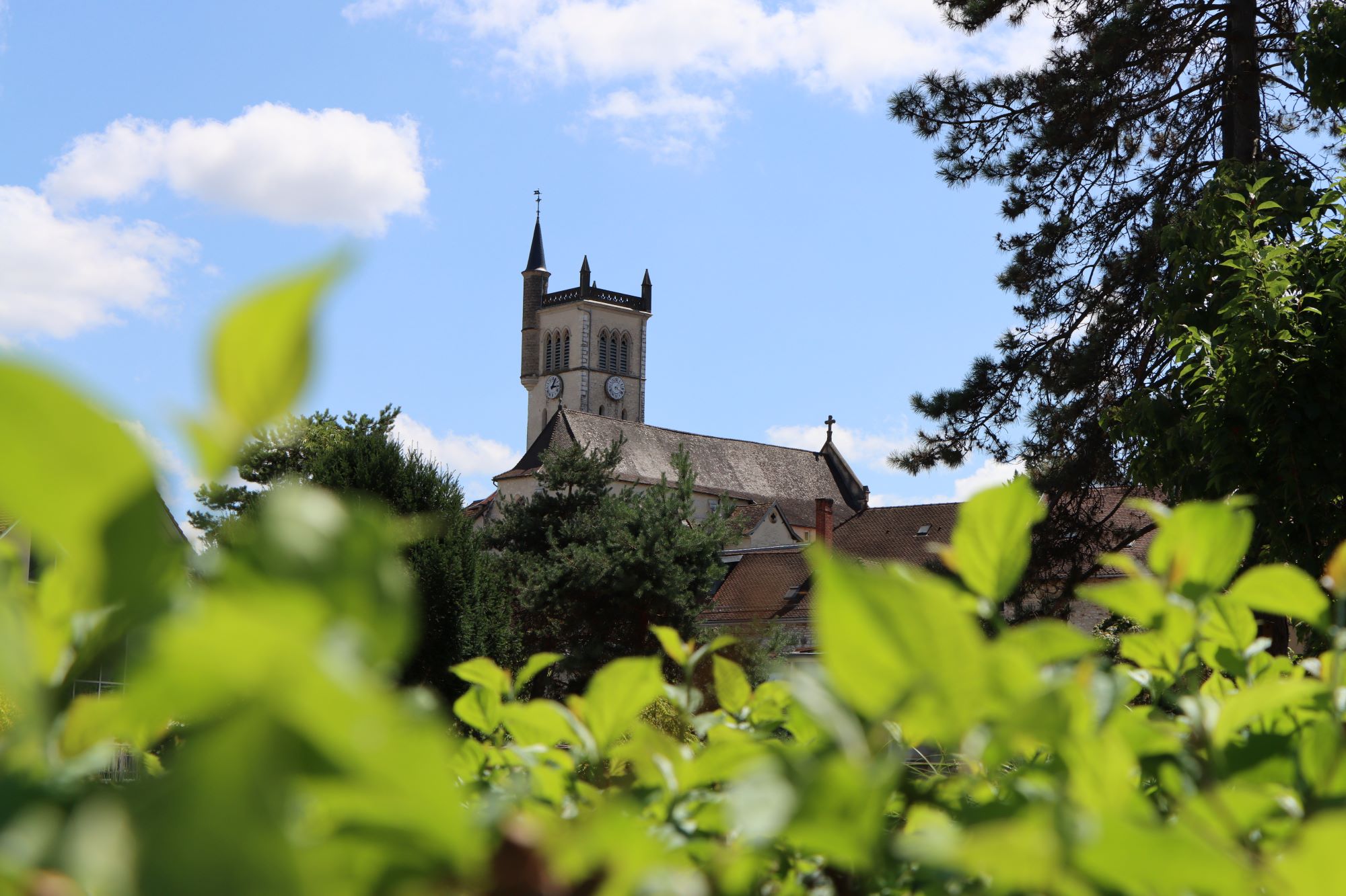 Visite guidée découverte de la cité des peintres de Morestel_Morestel