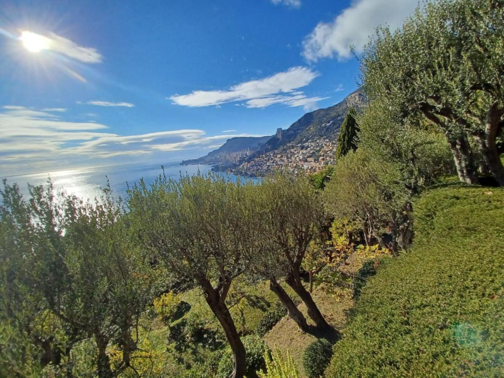 Departemental Park of Cros de Casté (Roquebrune-Cap-Martin) | Menton ...