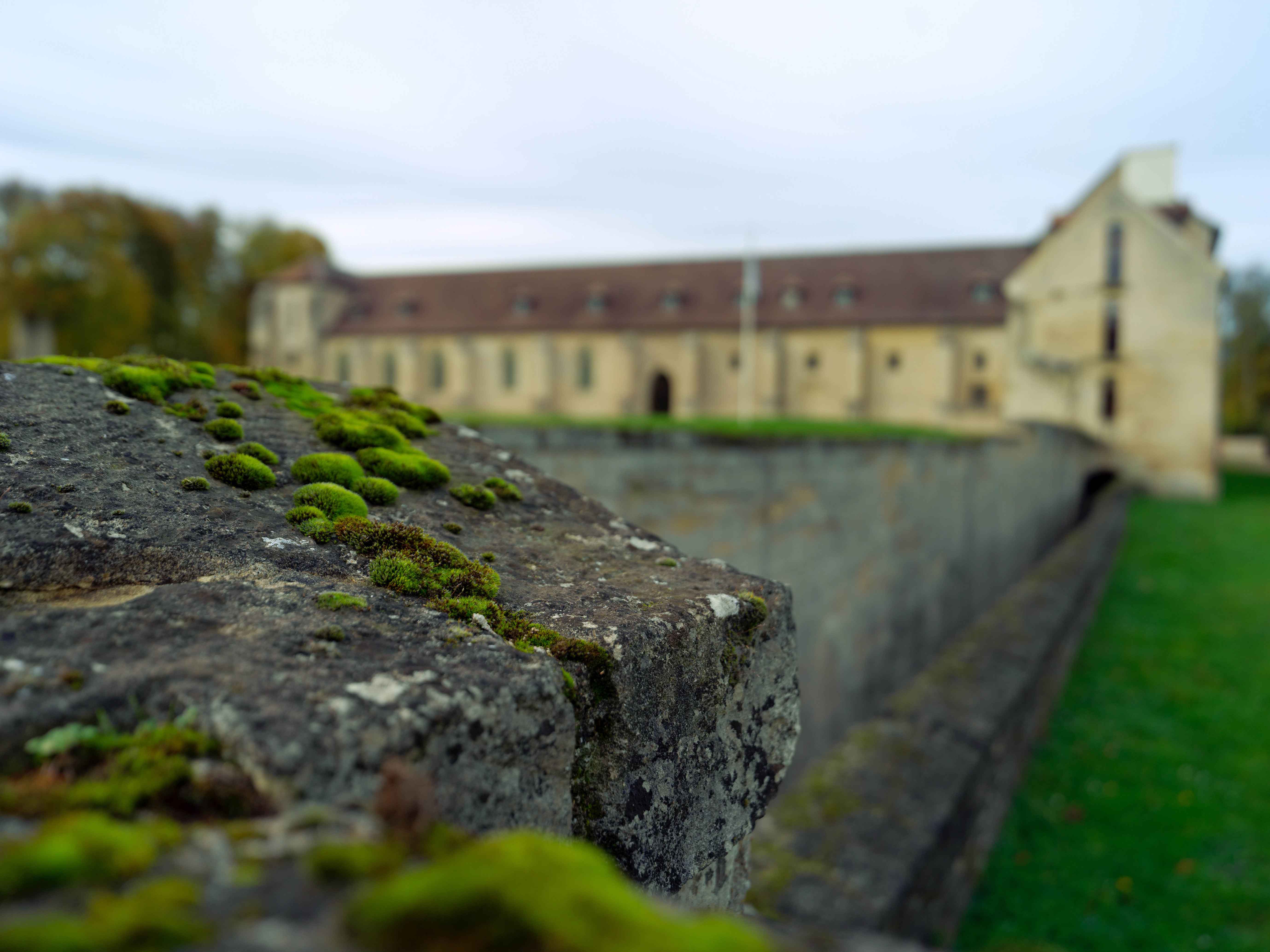Visite guidée historique "Chronologie de Maubuisson : huit siècles dévoilés"