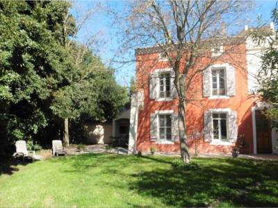 Le Vincent — photo 3