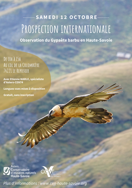 Journée d'observation du Gypaète barbu au Col de la Colombière