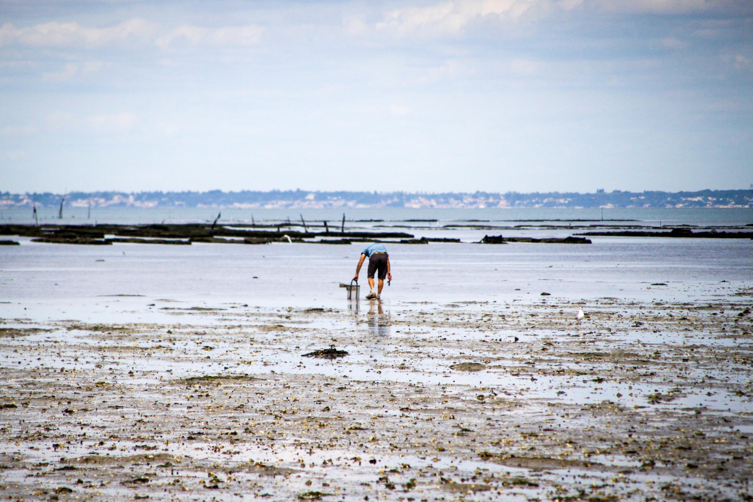 Exposition - Pêche à pied