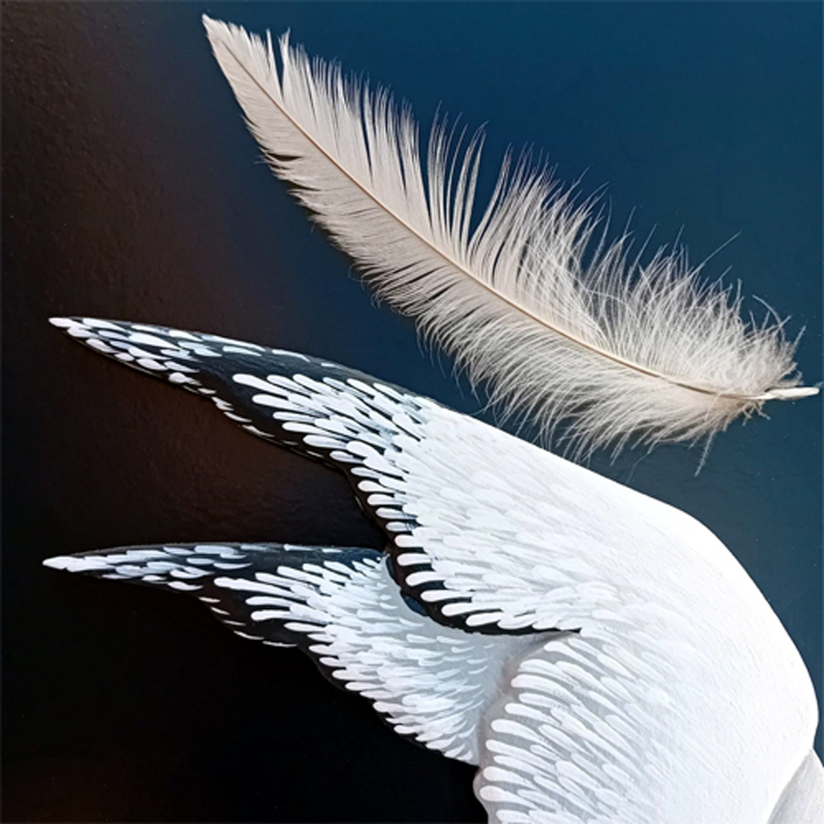 La Mouette d'après Anton Tchekhov