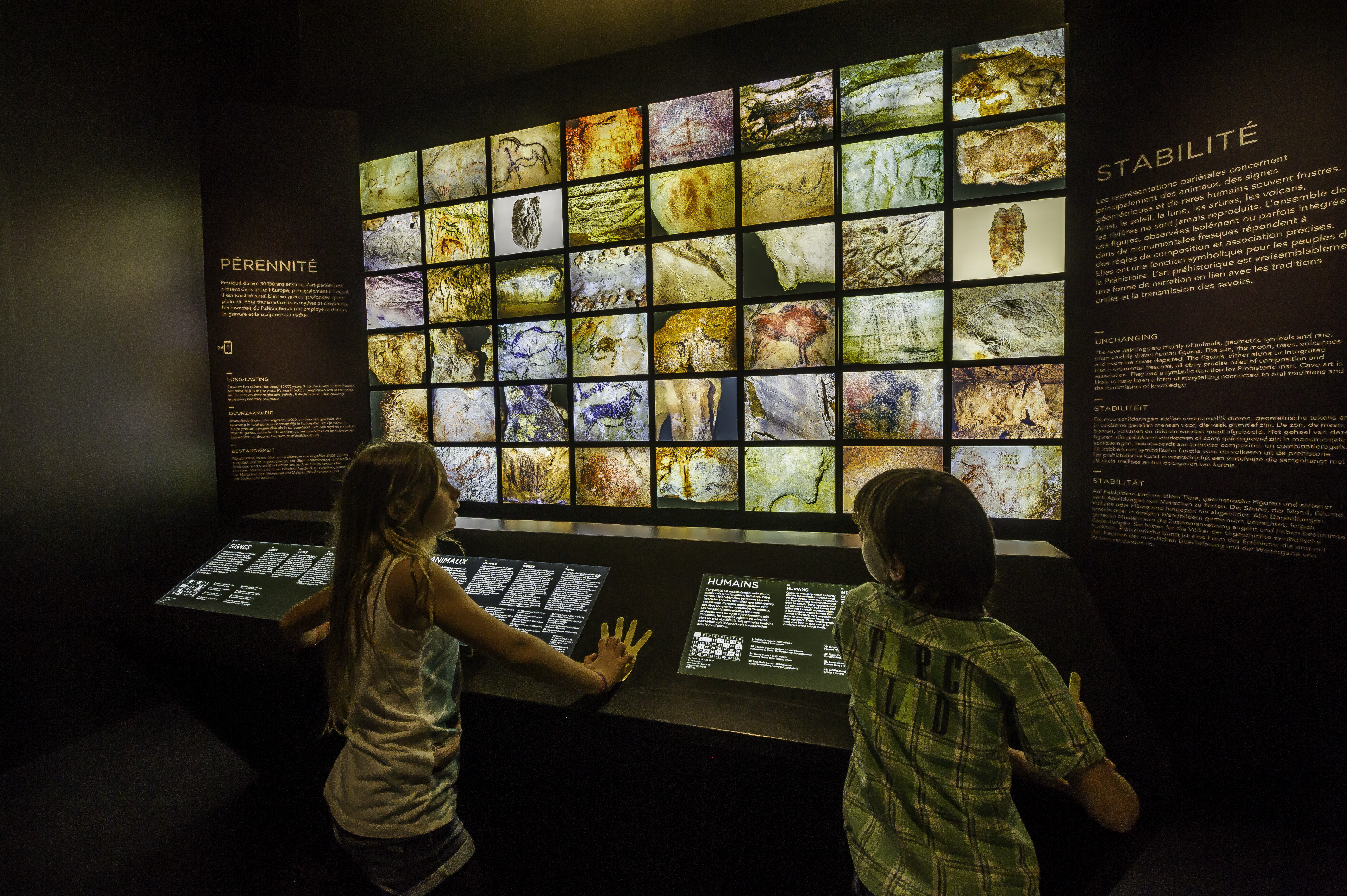 47924f1b88e867f4a3dc