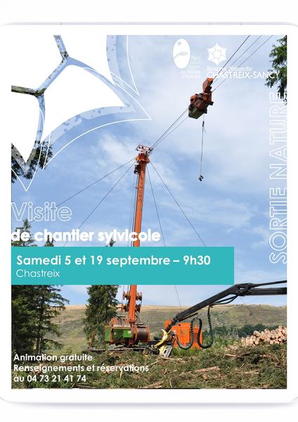 Sortie Nature : Ren’essence d’une plantation d’épicéas