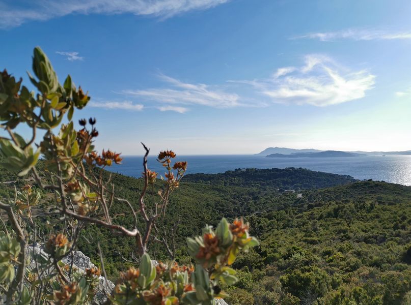 Massif de la Colle Noire