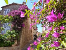 Place de la Mairie