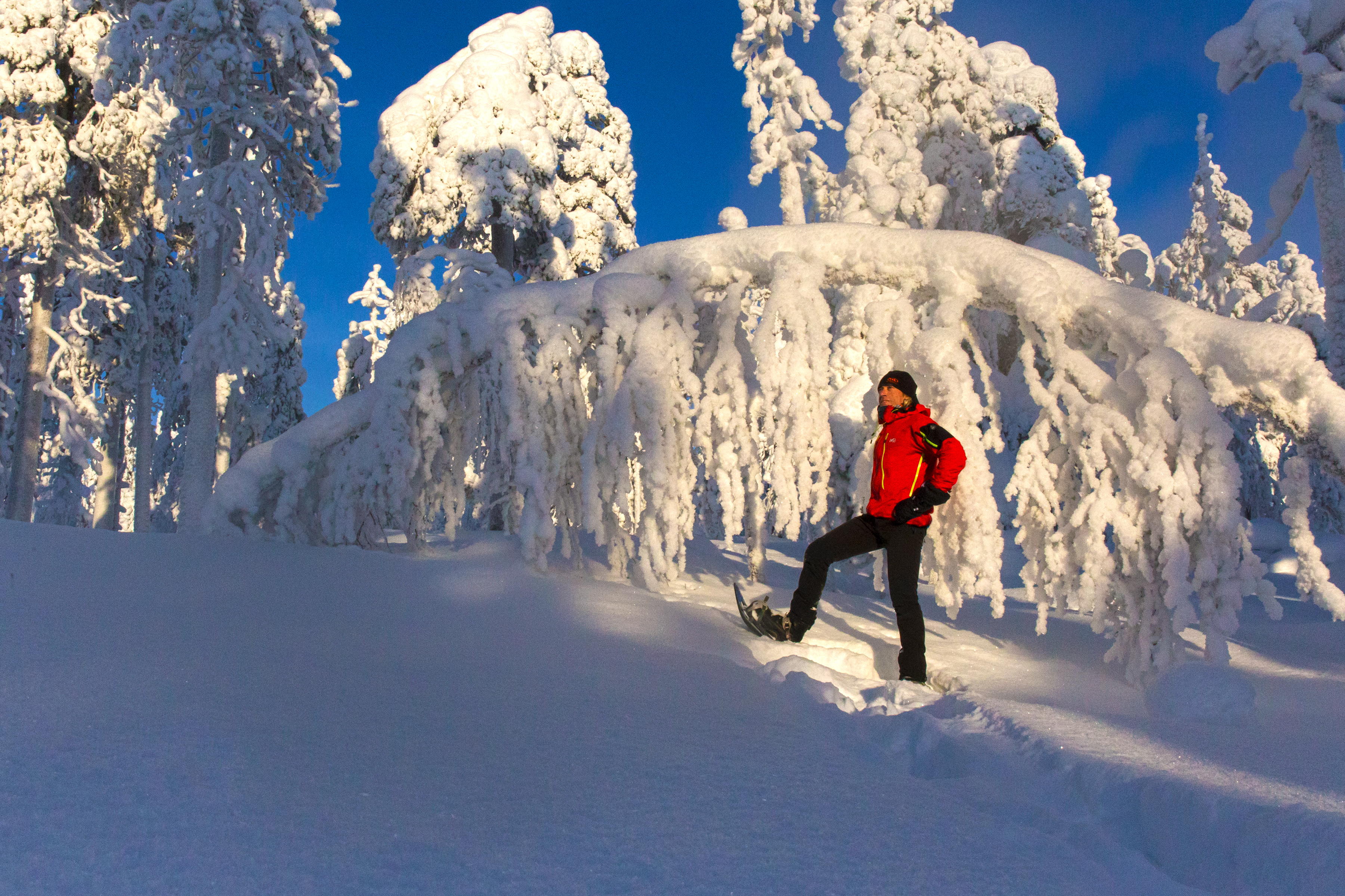 Imaginez une journée en pleine nature