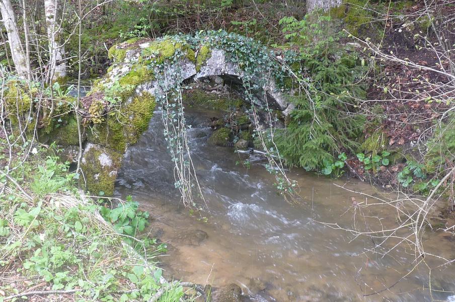 Chartreuse de Meyriat