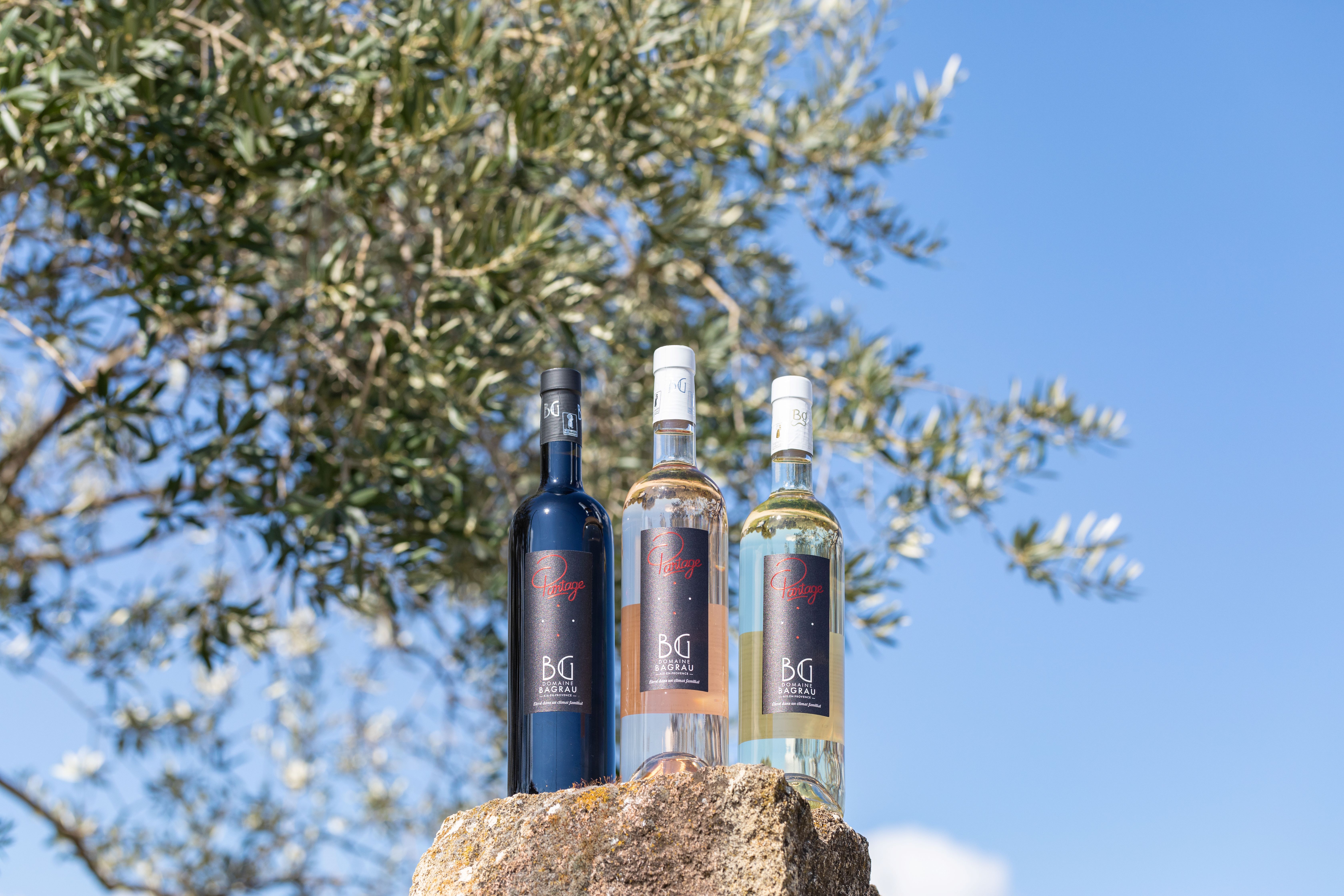 Domaine Bagrau, Rognes - photo 4