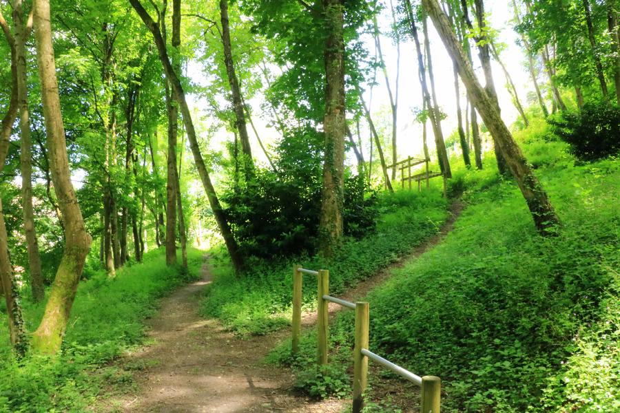 Emmanuelle Bebi-Hegoburu - Office de tourisme des Balcons du Dauphiné