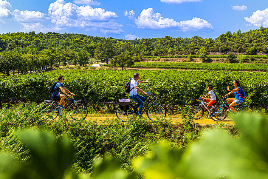La Vigne à Vélo