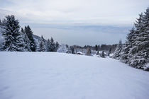 Discover Thollon and its surroundings on snowshoes