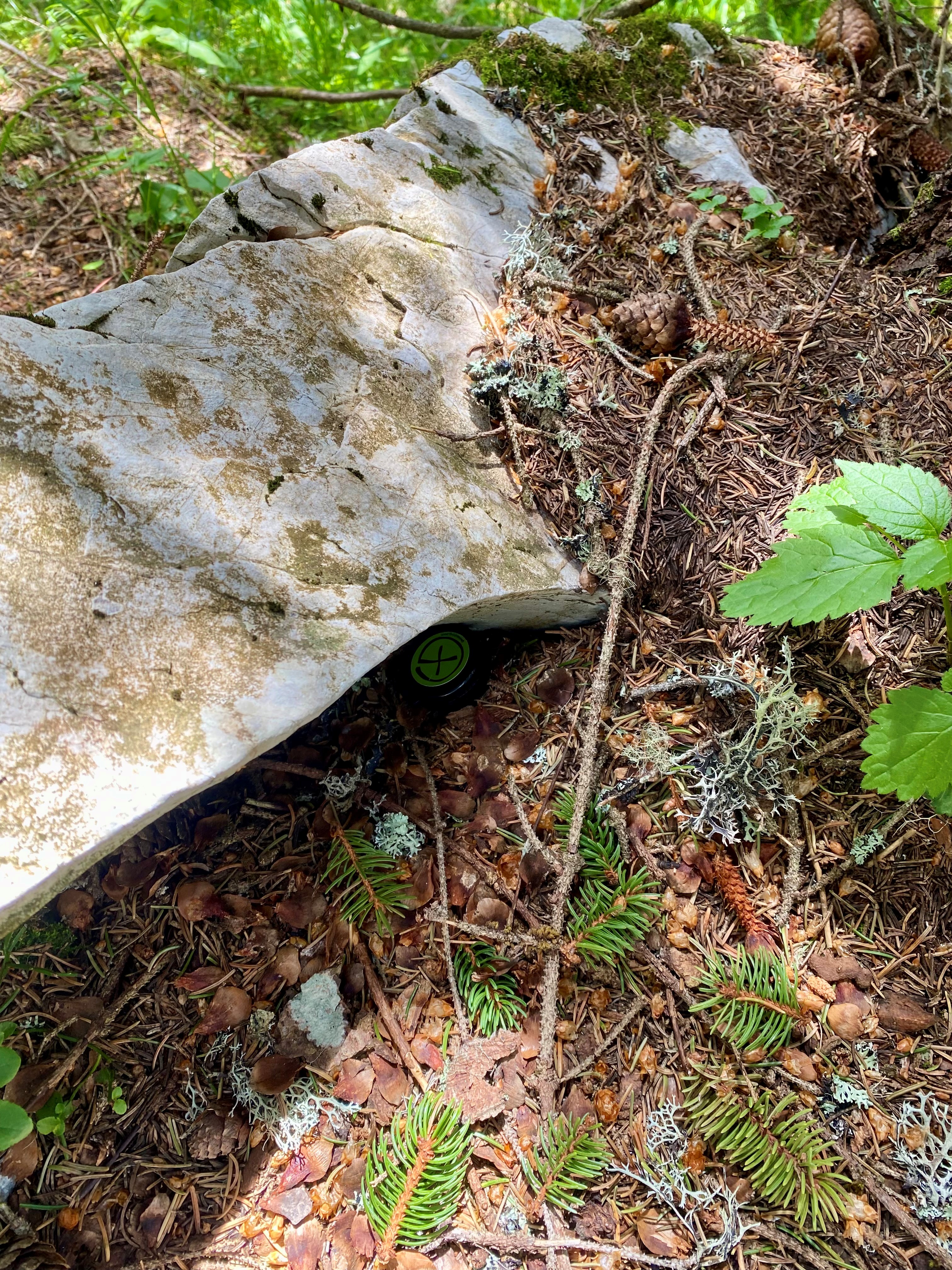 Een schuilplaats onder een rots in het bos