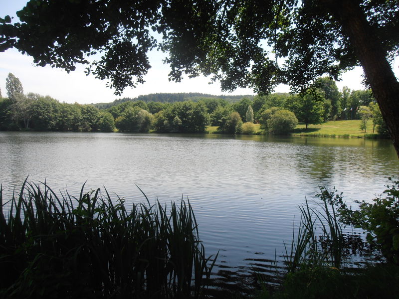 Site de pêche - Plans d'Eau de Saint-Eloy-Les-Mines et étangs aux alentours