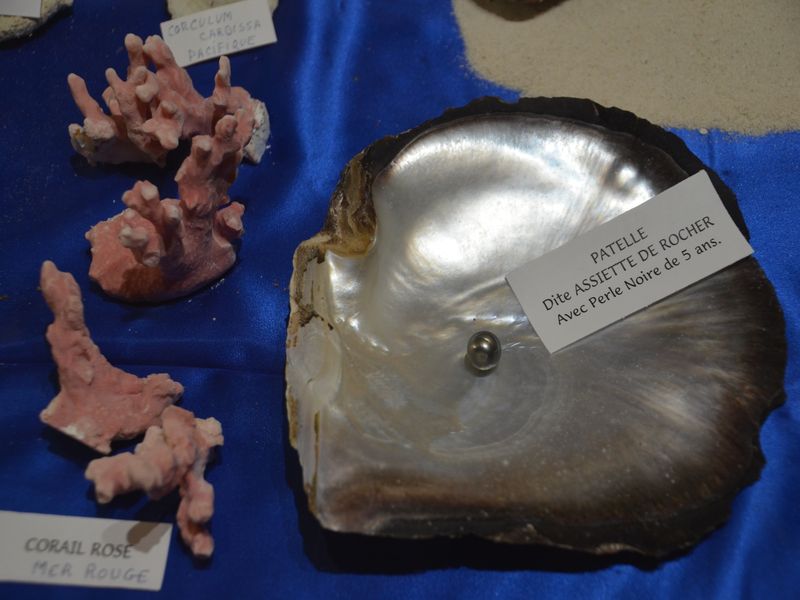 Musée Extraordinaire