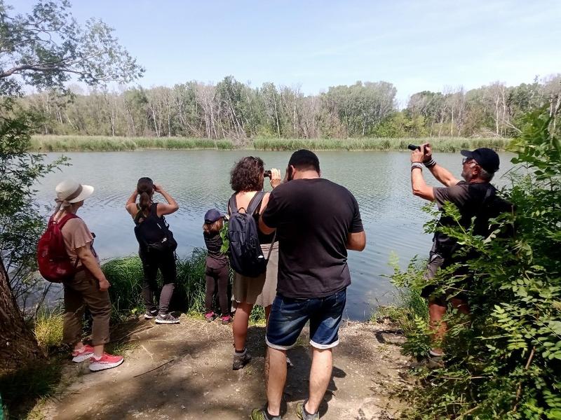L’Île Vieille fête sa nature ! - Mondragon