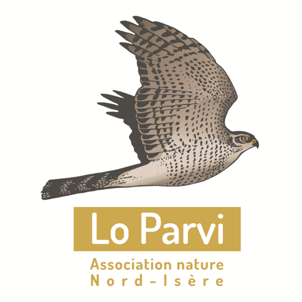 Logo LO PARVI