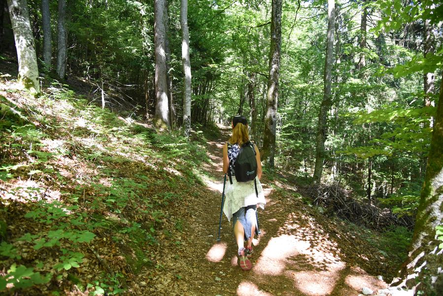 sentier pédestre la Pierre à Voix