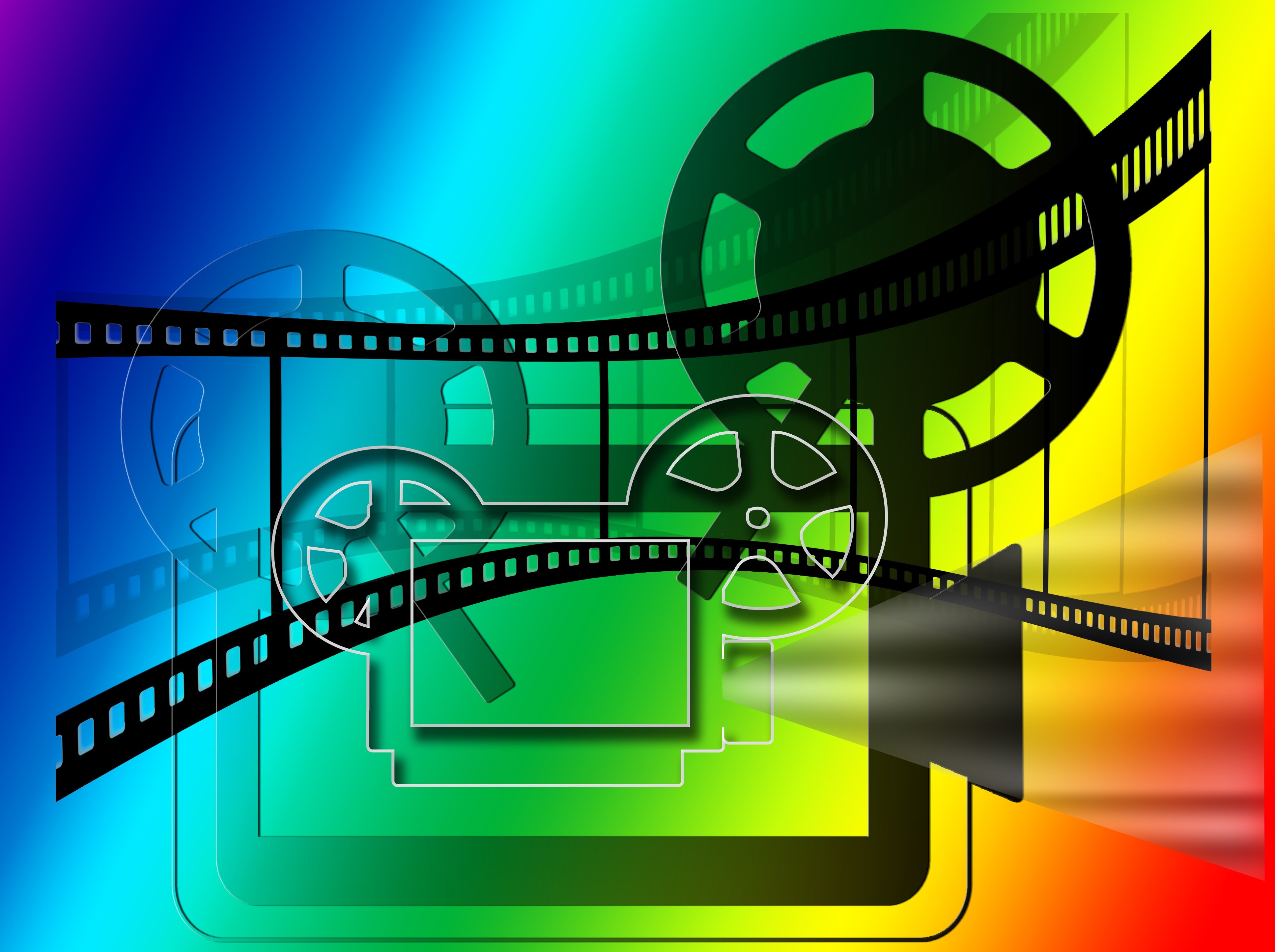 États généraux du film documentaire, projection