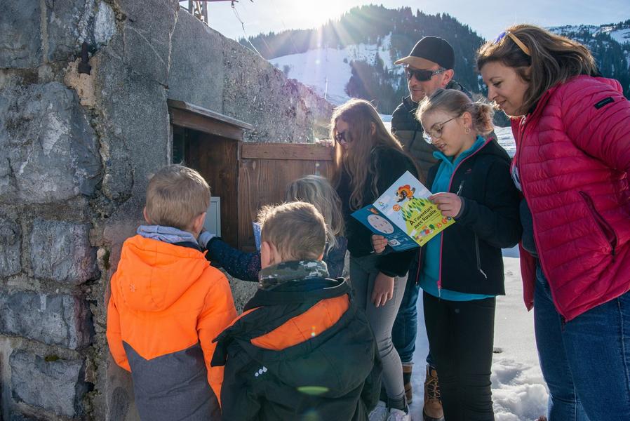 Disponible toute l'année