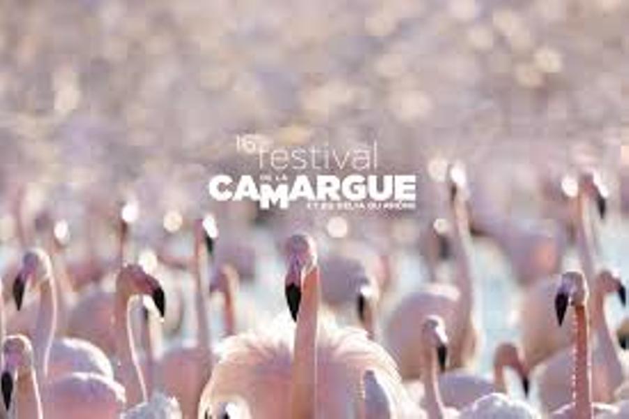Le Festival de la Camargue au Sambuc