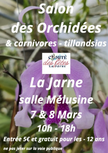 Salon - Salon des Orchidées