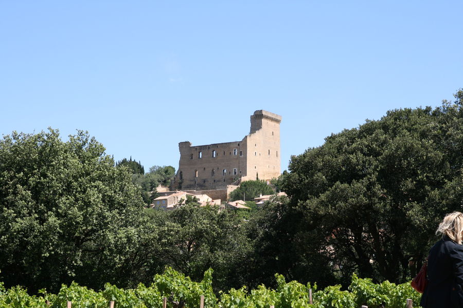 Château des Papes