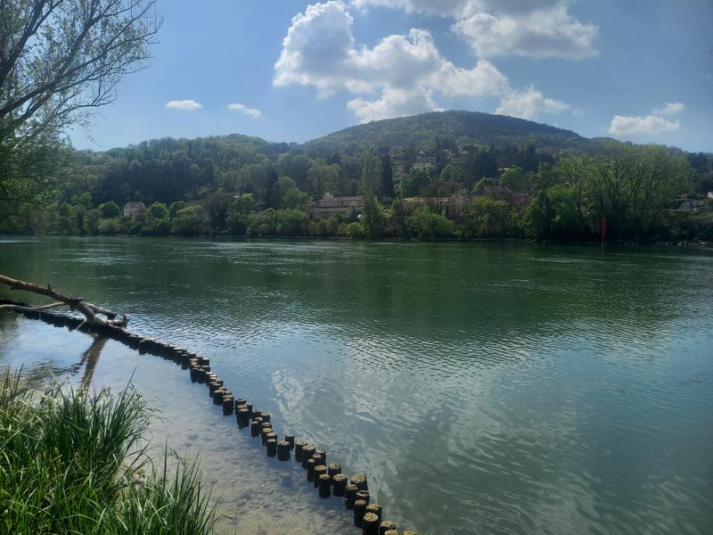 Pêcher la Saône à Rochetaillé