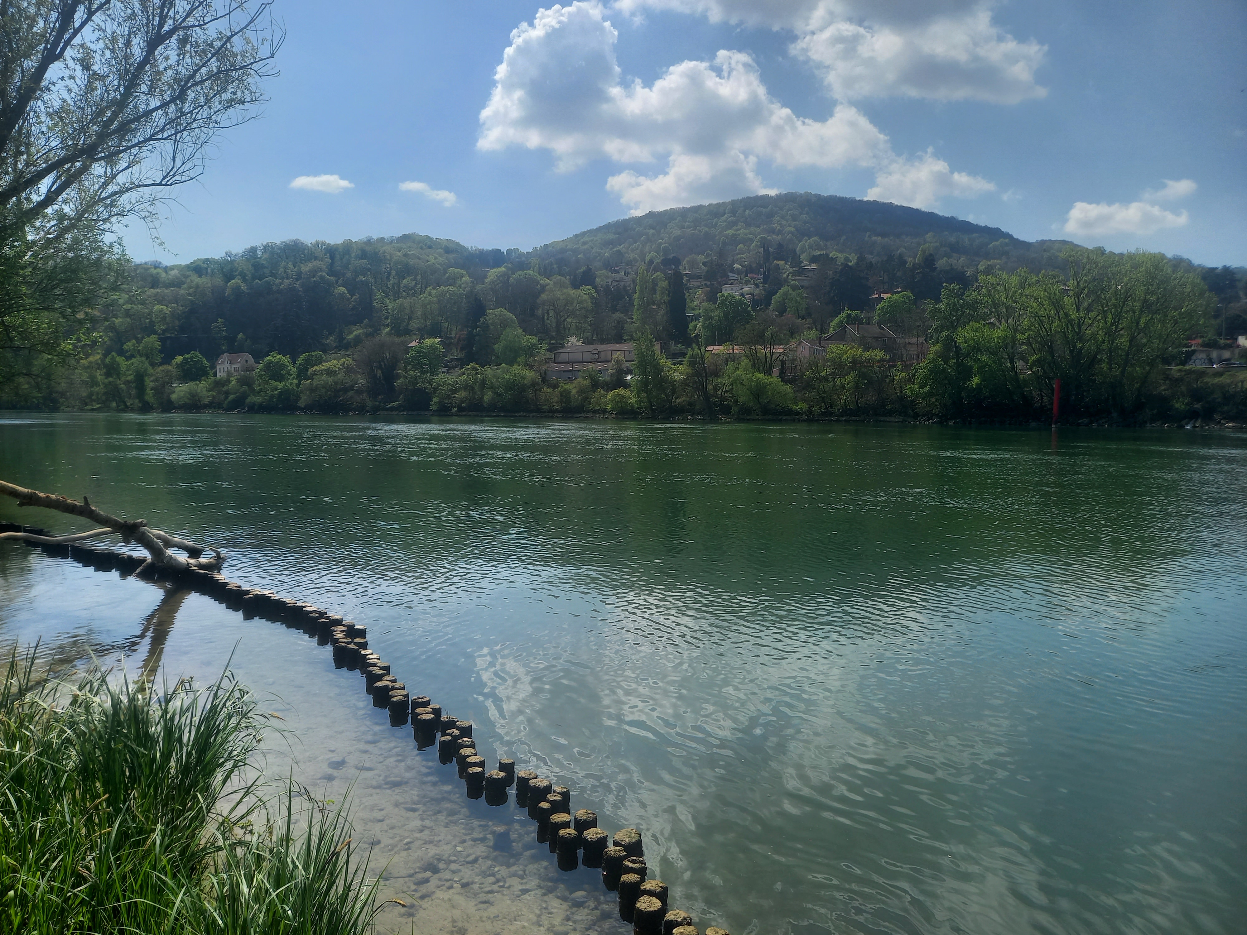 Pêcher la Saône à Rochetaillé