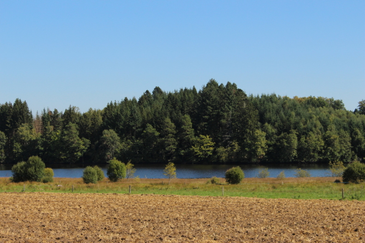 Vue sur l'étang Gasserot