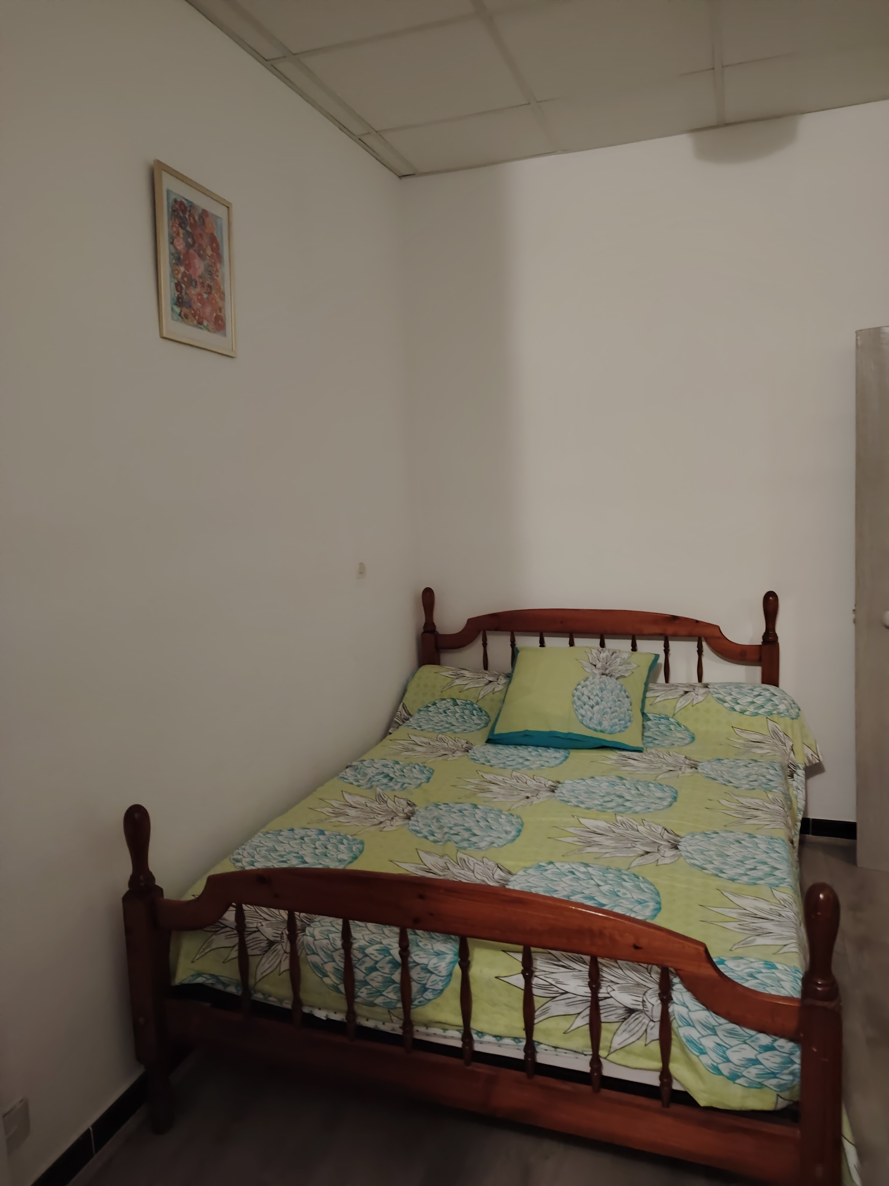 Kalymnos, Arles - photo 16