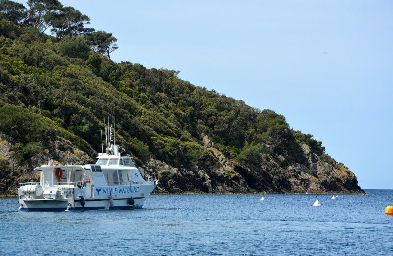 Espace mer, balade en mer