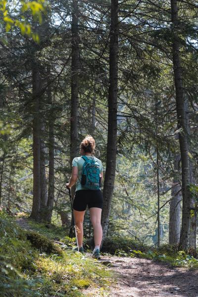 De val cenis bramans aux forts