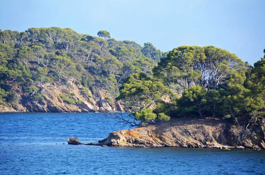 Littoral de Bormes les Mimosas