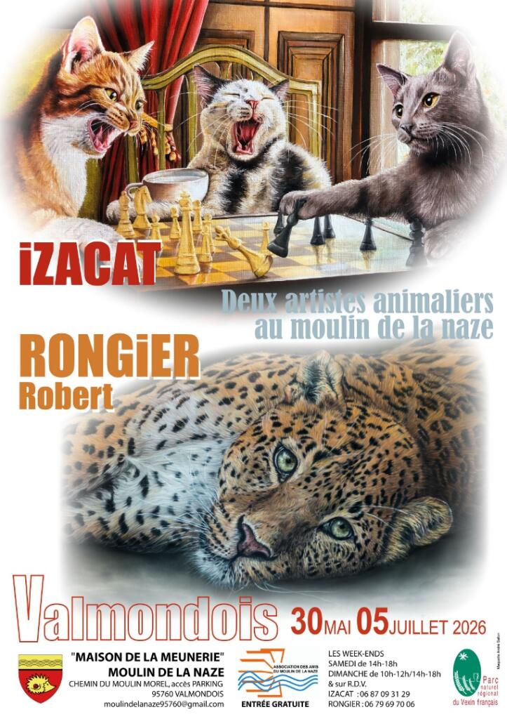 Exposition : iZACAT et Robert Rongier