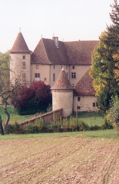 Cuirieu Castle