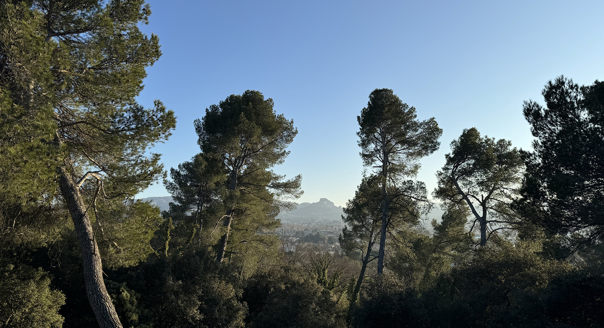 Plateau de la crau