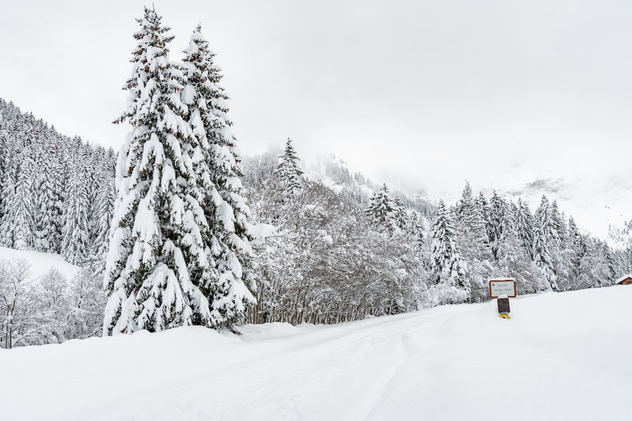 Domaine de ski de Fond Megève