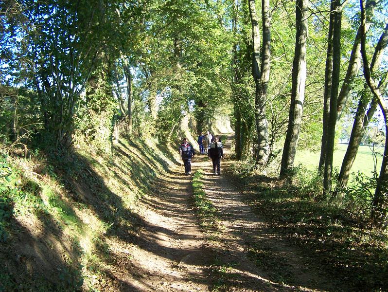 marche du 11 novembre_Régny