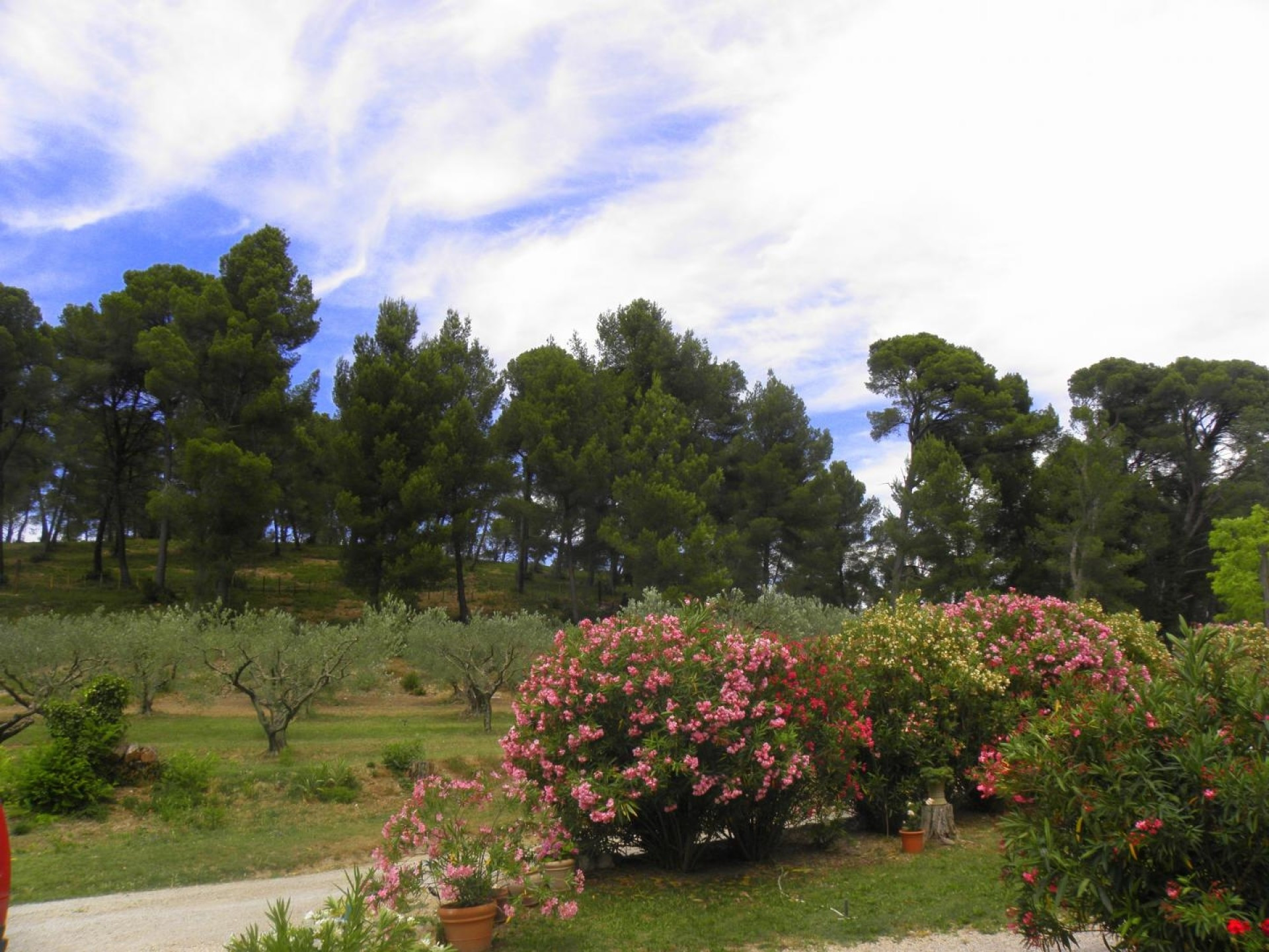 Le Mas Saint Roman - La pichoulino - photo 4