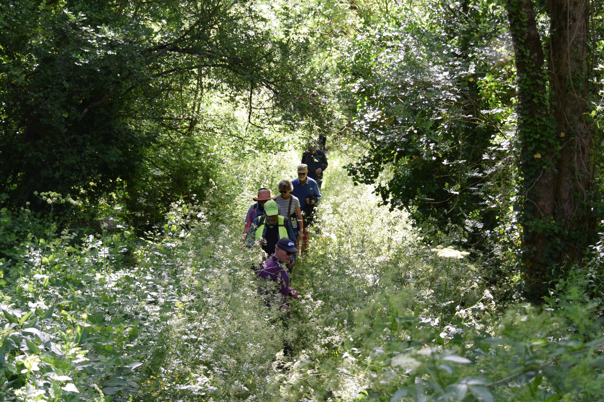Marche pour les Restos du Cœur