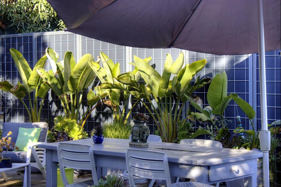 Villa 3 elephants Gîte n°2-Terrasse commune aux 3 gîtes-Nice-Gîtes de France des Alpes-Maritimes