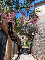 Rue de la Treille