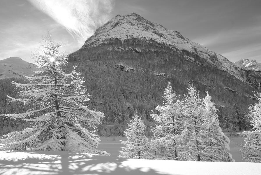 Bessans Haute Maurienne