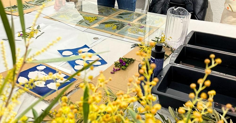 ATELIER : Impressions végétales au cyanotype_Bormes-les-Mimosas