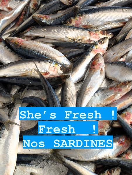 Des sardines fraiches en vrac.
