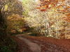 Paysage d'automne à Saint-Yorre Ⓒ  Jacky Proyart